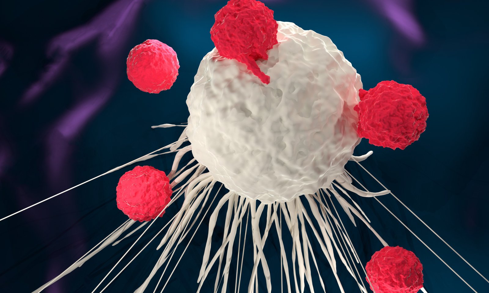 3D render of immune system T cells attacking a cancer cell